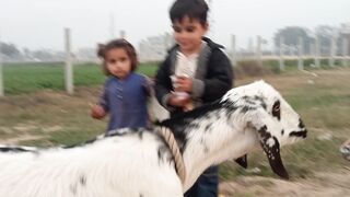 New Video WhatsApp Status Cute Baby