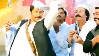 funny videos compilation 2023