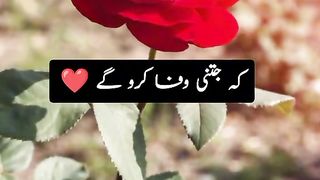 Bs ak hi sabaq seekja ha zindage sey Shakeel poetry