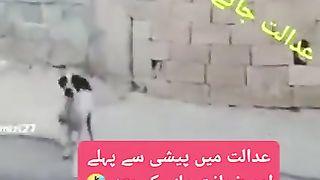 Dogy very funny