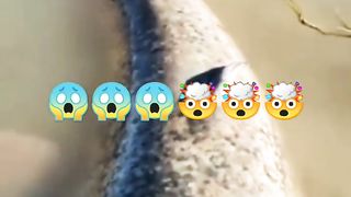 Hunting fishing ????????????????