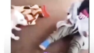 Funny Fighting