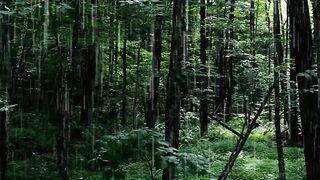 Rain day video. #7