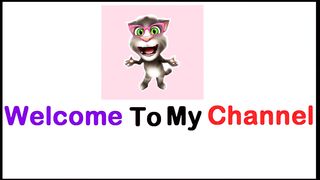 Talking Cat video funny