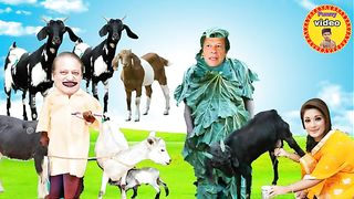 imran khan and yasir shami vs nawaz shareef funny video (part 30).funny clip