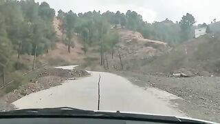 Drive to jungle
