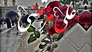 Wiladat E Mola Imam Hussain AS ❤️????
