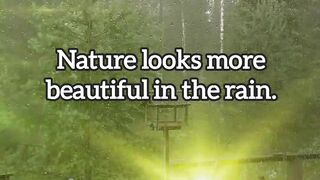 Quotes