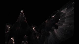 Eagle fly
