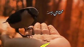 جمعہ مبارک ...... یلیز اشتہار پر کلک کریں