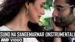 Suno Na Sangemarmar | Youngistaan | Santoor Instrumental Rohan Ratan | Jackky Bhagnani, Neha Sharma
