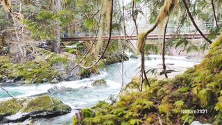 Relaxing with Nature Sounds