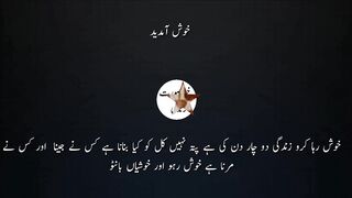 True words  best urdu quotesl amazing quotes 2022l beautifulquotation about life khoobsoorat zindagi