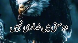 دوستی میں غرداری نہیں