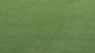 psl cricket