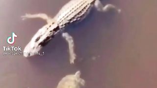 Funny video of the End