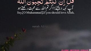 Beautiful tilawt e Quran e pak