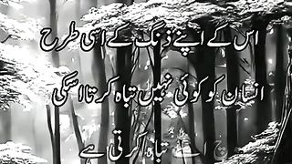 My favorite vedio