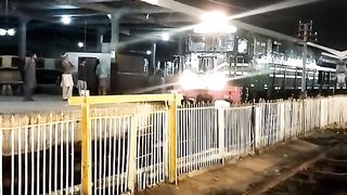 Green Line with new chinese coaches