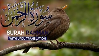 Surah Rahman With Urdu Translation Full | Episode 23 | Quran Tilawat Tarjuma | Tappyala Islamic