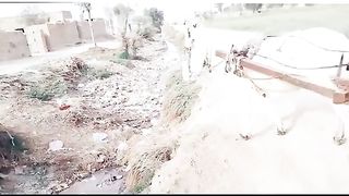 Koi Hal Ni