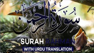 Surah Rahman With Urdu Translation Full | Episode 24 | Quran Tilawat Tarjuma | Tappyala Islamic