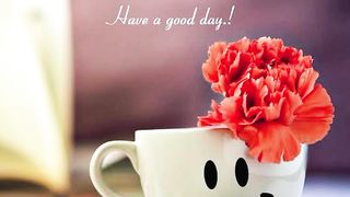 Good Morning