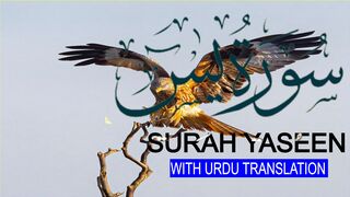 Surah Yasin | Yaseen with Urdu Translation | Episode 22 | Beautiful Quran Recitation | Tappyala