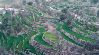 صبح بخیر زندگی