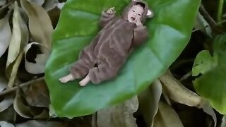 Beautiful baby