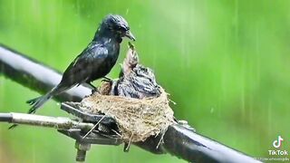 Beautiful weather  mother  kids eating food ????