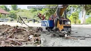 Pets or Animals Videos 24-2-2023-11