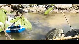 Pets or Animals Videos 24-2-2023-14