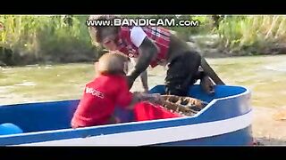 Pets or Animals Videos 24-2-2023-17