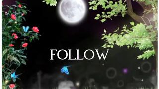 beautiful moon night