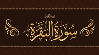 Surat Al Baqarah Qari Sohaib Ahmed Meer Muhammadi سورة البقرة