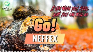 NEFFEX_????_YT_Music_Go![_Copyright-Free_]_No_5
