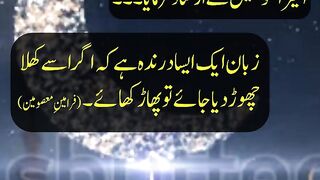 Urdu Aqwal | Zuban aik Darinda | Quotes of Masumeen