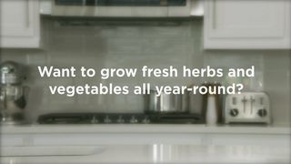 Harvest with Gourmet Herb Seed Pod Kit