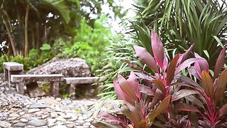 Nature in diverse colours