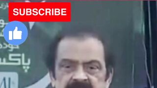 Rana Sanaullah Press Conference #shorts #shortsvideo #shortvideo #shortsfeed #pmln