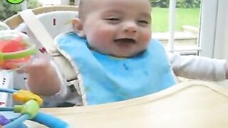 The Funniest And Most Stupid Laughs Ever