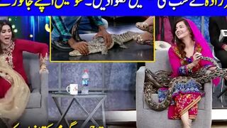 Fiza_Ali_Got_Scared_When_She_Saw_Snakes_And_Crocodile___Rabi_Peerzada_Interview___