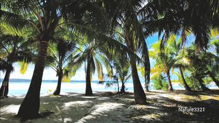 Relaxing with Nature Sounds