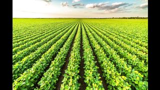 introduction about latest agriculture