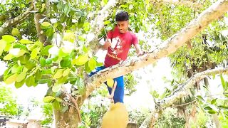 Most Viral New funny Video 2022 New Comedy Video Amazing Funny Video 2022 ???? Try To Not Laugh Episod