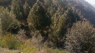 Like my video