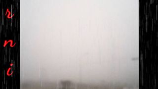 Morning rain day. #8