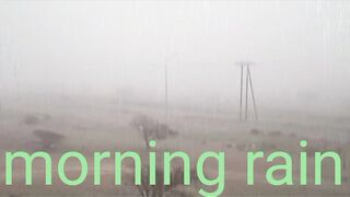 Morning rain #8