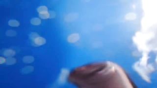 Try Not To Laugh - Stupidity At Its Best ???? Funny Video